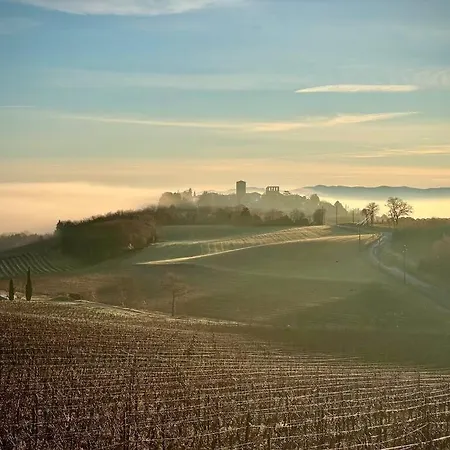 Villa Domaine De Nougayrol: Luxury In Vineyard With Pool Alaigne