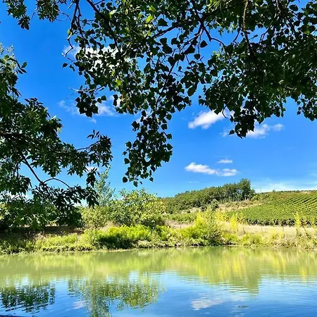 Villa Domaine De Nougayrol: Luxury In Vineyard With Pool