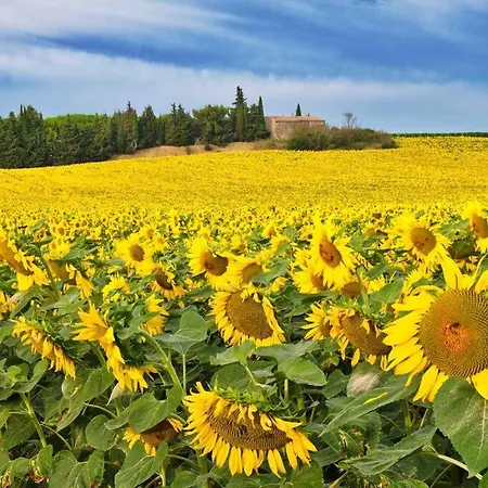 Domaine De Nougayrol: Luxury In Vineyard With Pool Villa