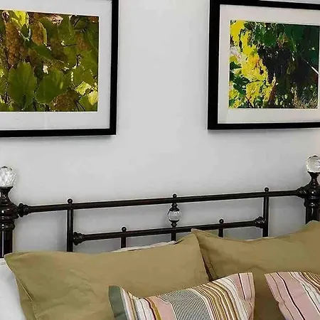 Domaine De Nougayrol: Luxury In Vineyard With Pool Villa *