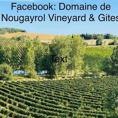 Domaine De Nougayrol: Luxury In Vineyard With Pool *
